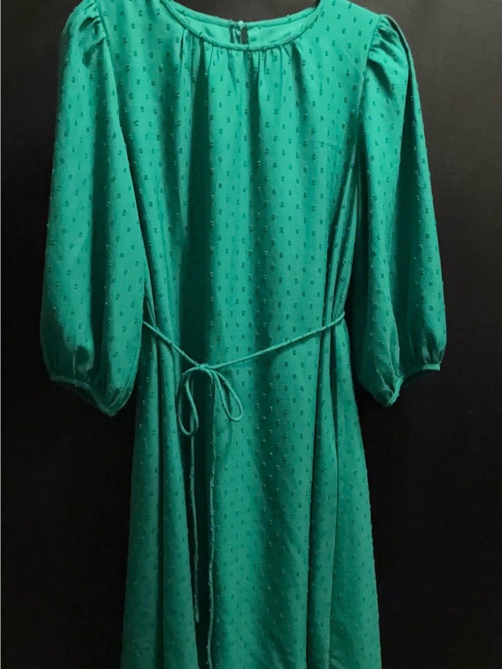 Ann Taylor Factory Teal Long-Sleeve Tie-Waist Midi Dress with Swiss Dots - Picture 3 of 7